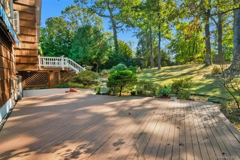 a view of a yard with plants and large trees