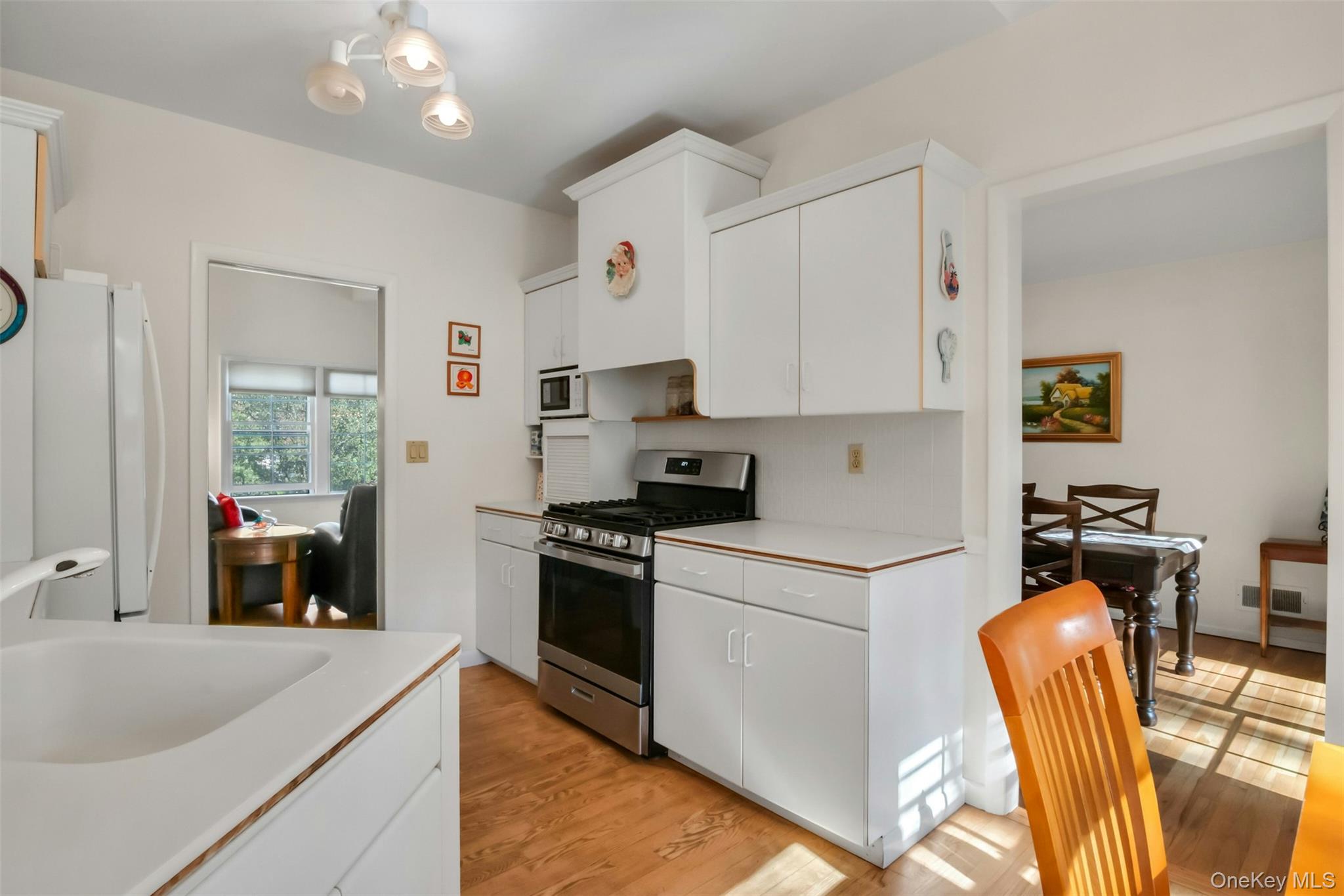 95 Emerson Avenue New Rochelle, NY 10801 - Photo 8 of 27 a kitchen with stainless steel appliances granite countertop a sink stove and refrigerator
