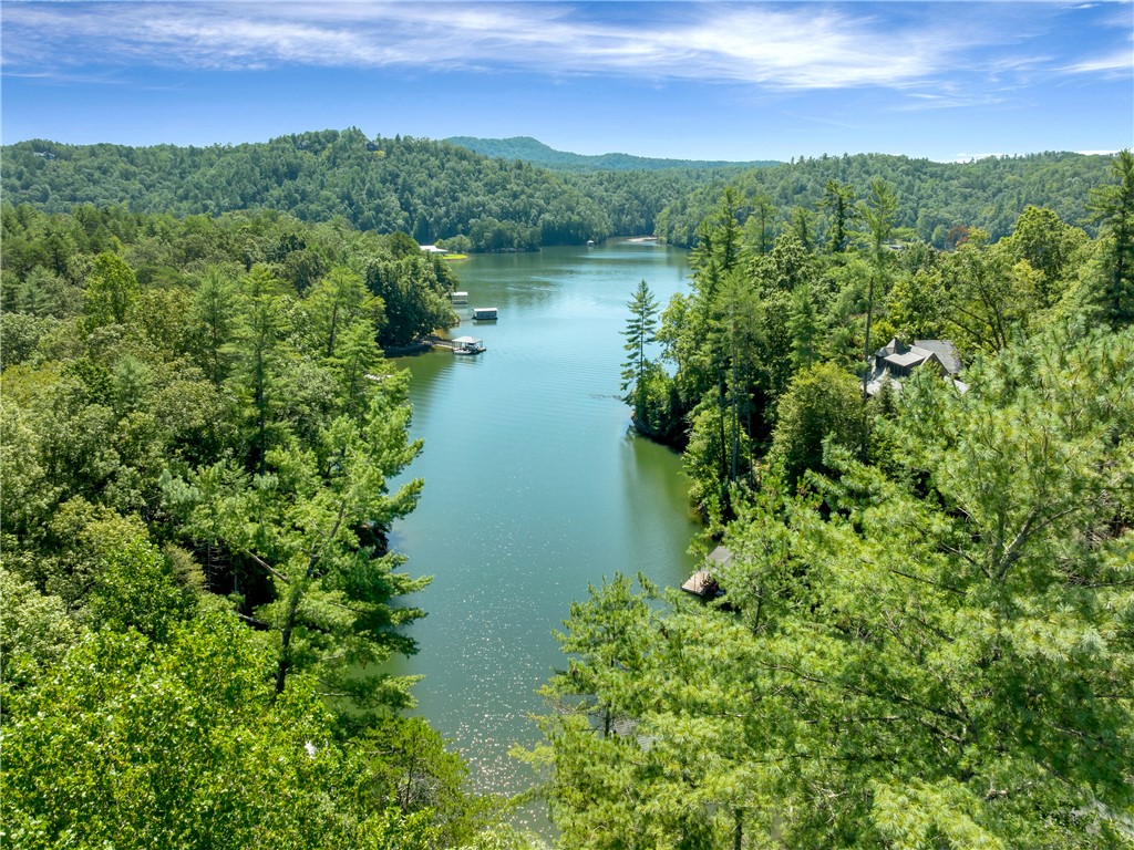 1903 Cleo Chapman Highway Sunset, SC 29685 - Photo 37 of 39