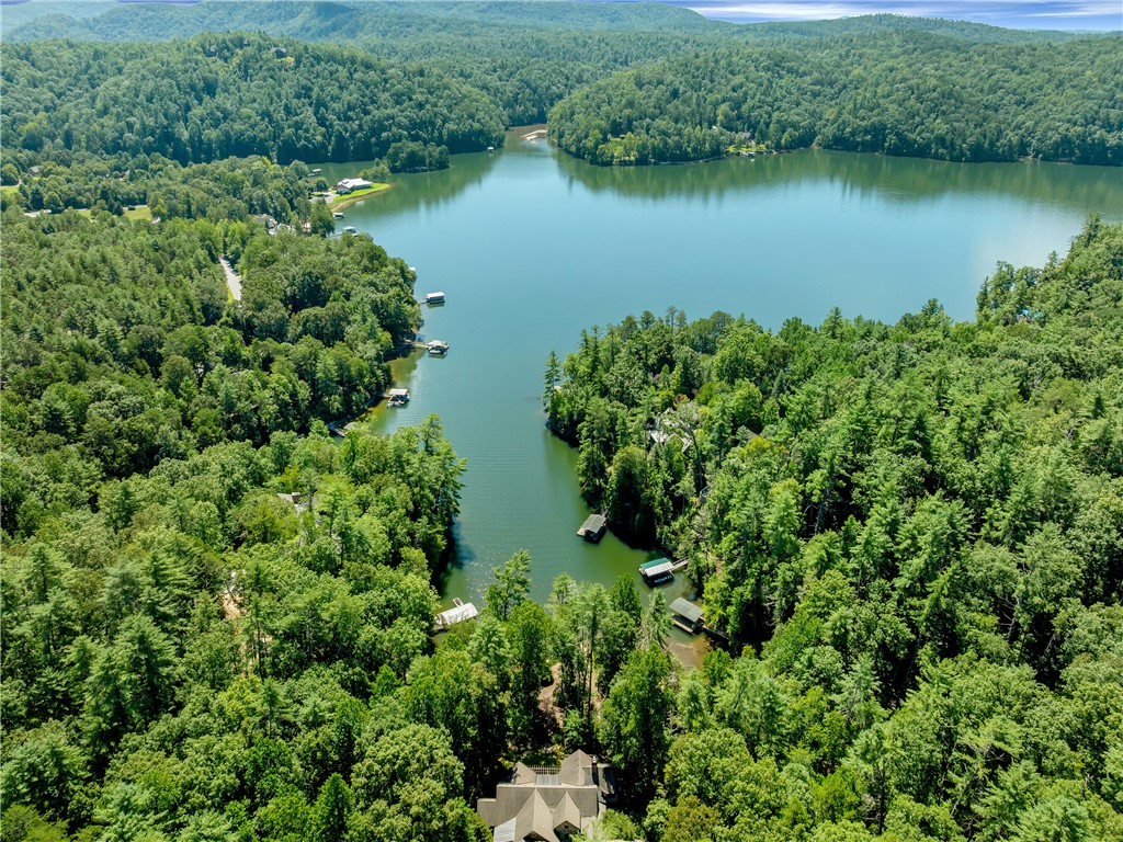 1903 Cleo Chapman Highway Sunset, SC 29685 - Photo 38 of 39