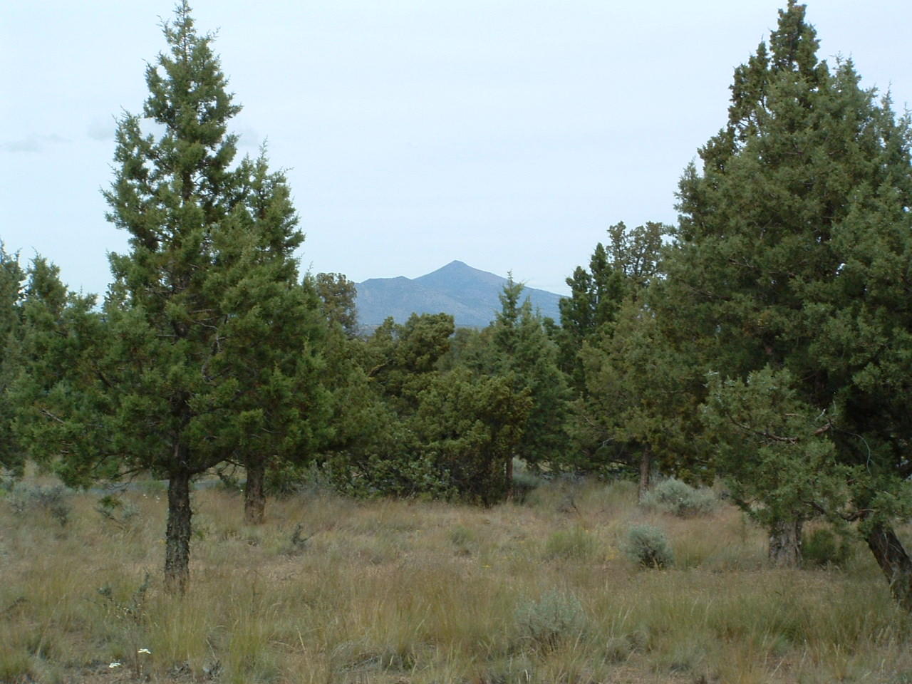 528 Widgeon Road Redmond, OR 97756 - Photo 10 of 12 DSCF0055