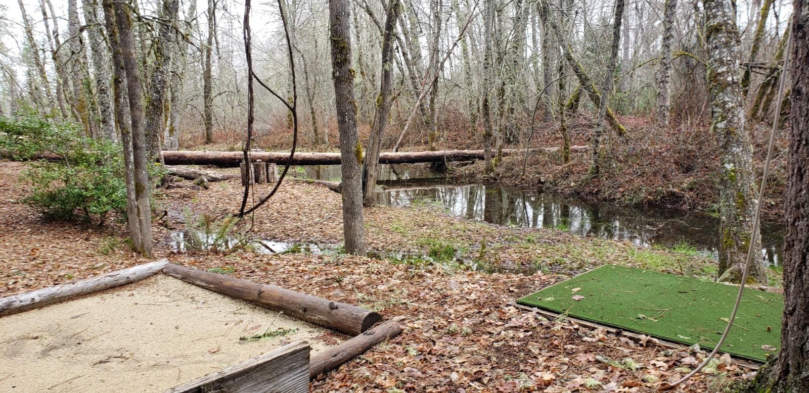 5865 Rockydale Road Cave Junction, OR 97523 - Photo 31 of 38 golf putting green. slam balls over creek into the woods?