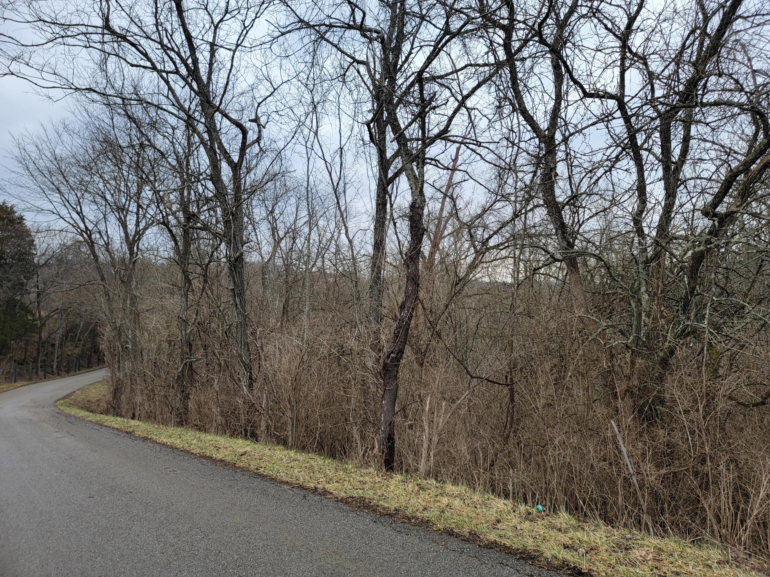 0 Convict Road Sharpsburg, KY 40374 - Photo 16 of 17 1000029217