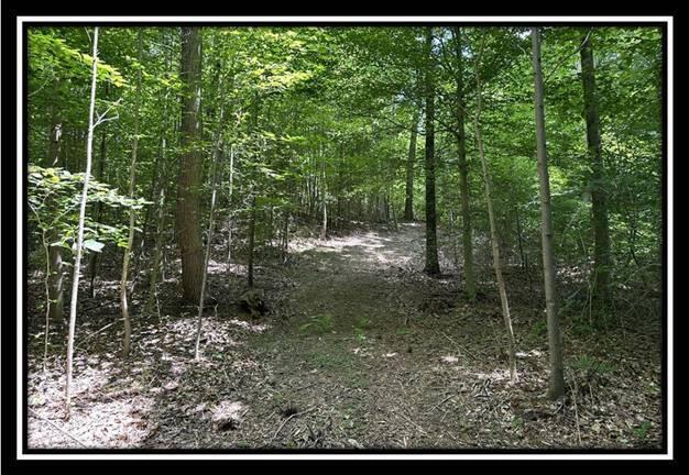 167 Weaver Road, Unit TRACT A) Chillicothe, OH 45601 - Photo 3 of 45 image003
