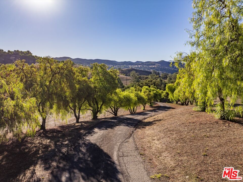 1959 Rambling Oaks Road Santa Ynez, CA 93460 - Photo 14 of 42 Gallery Image 14