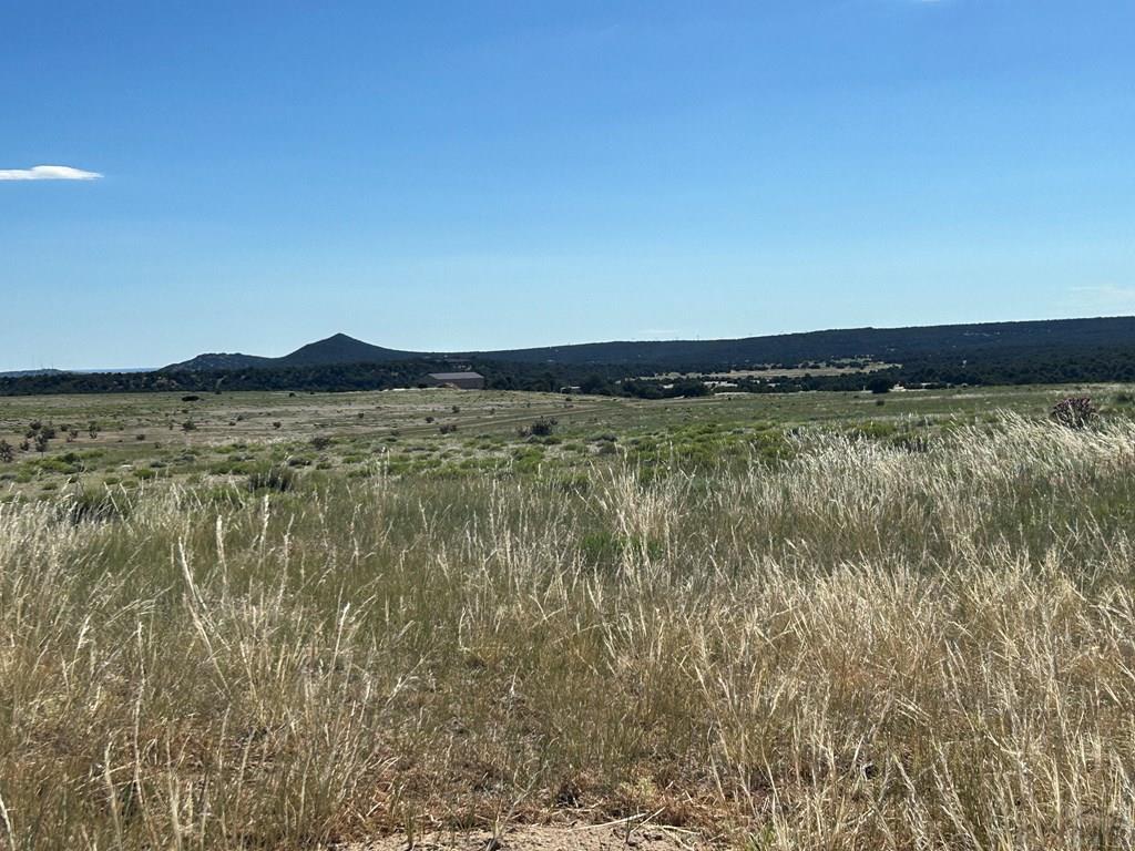 Lot 46 River Ridge Trail La Veta, CO 81055 - Photo 7 of 18