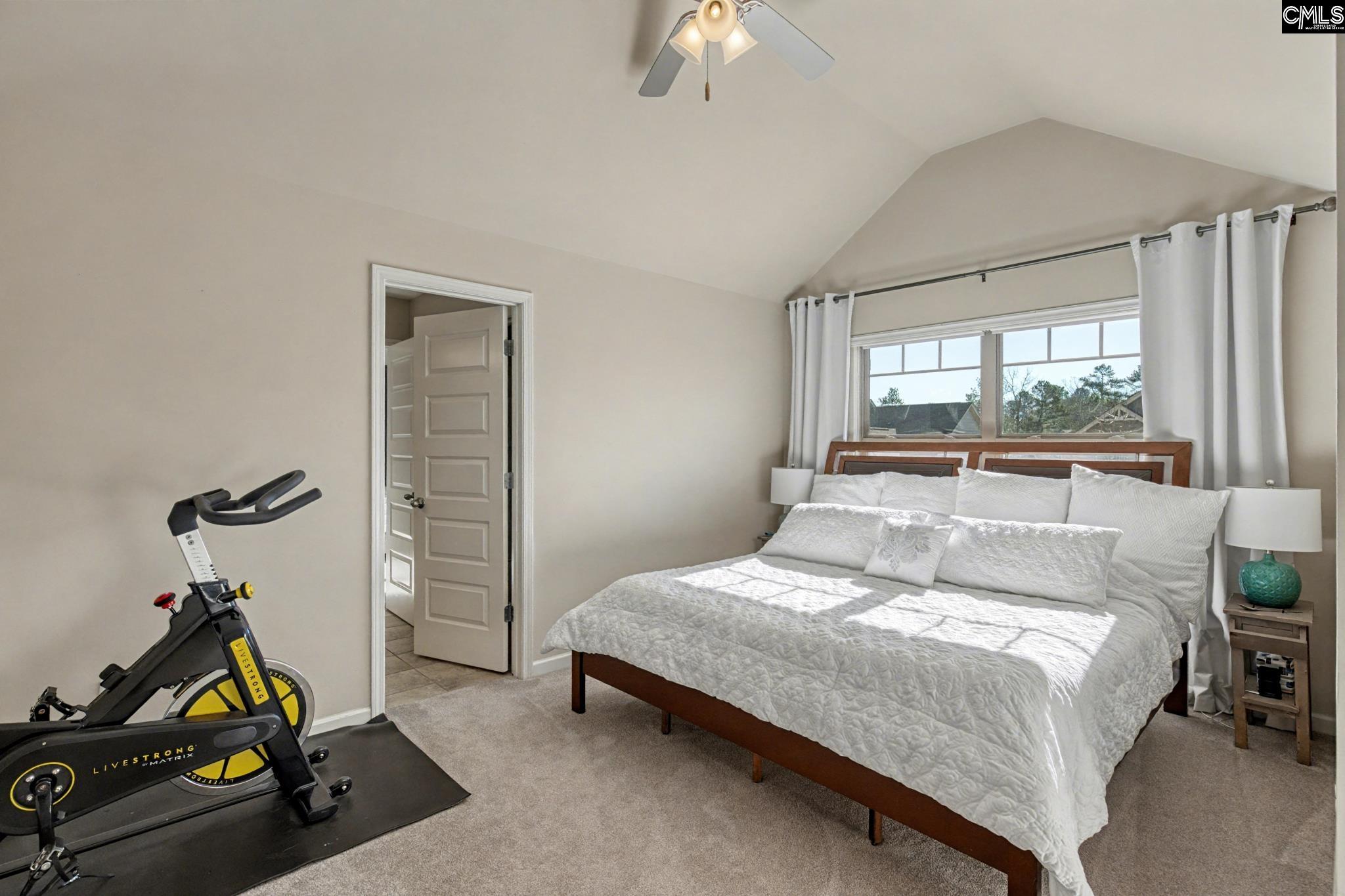 303 Lever Bottom Court Chapin, SC 29036 - Photo 34 of 45