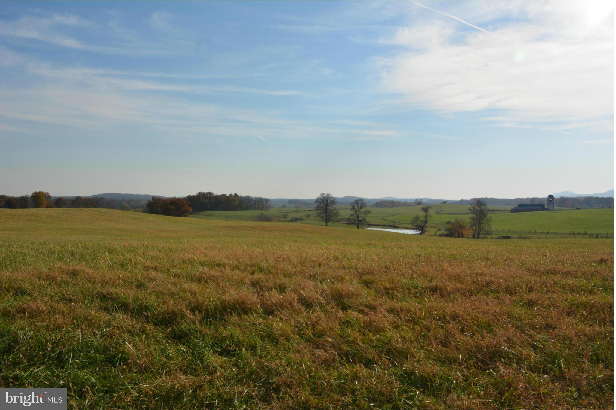 Rokeby Road Upperville, VA 20184 - Photo 1 of 14 View toward the South