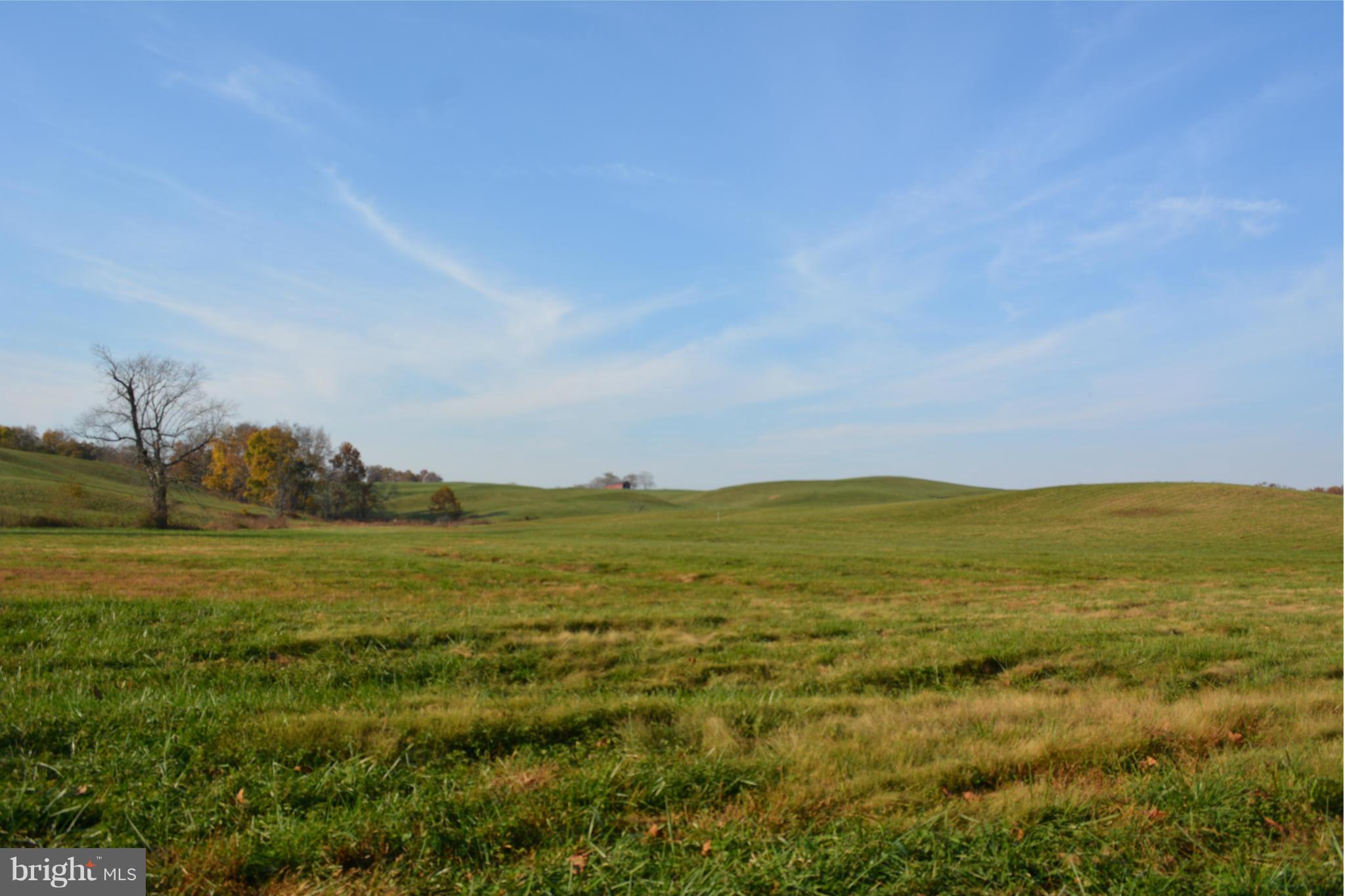 Rokeby Road Upperville, VA 20184 - Photo 11 of 14 View