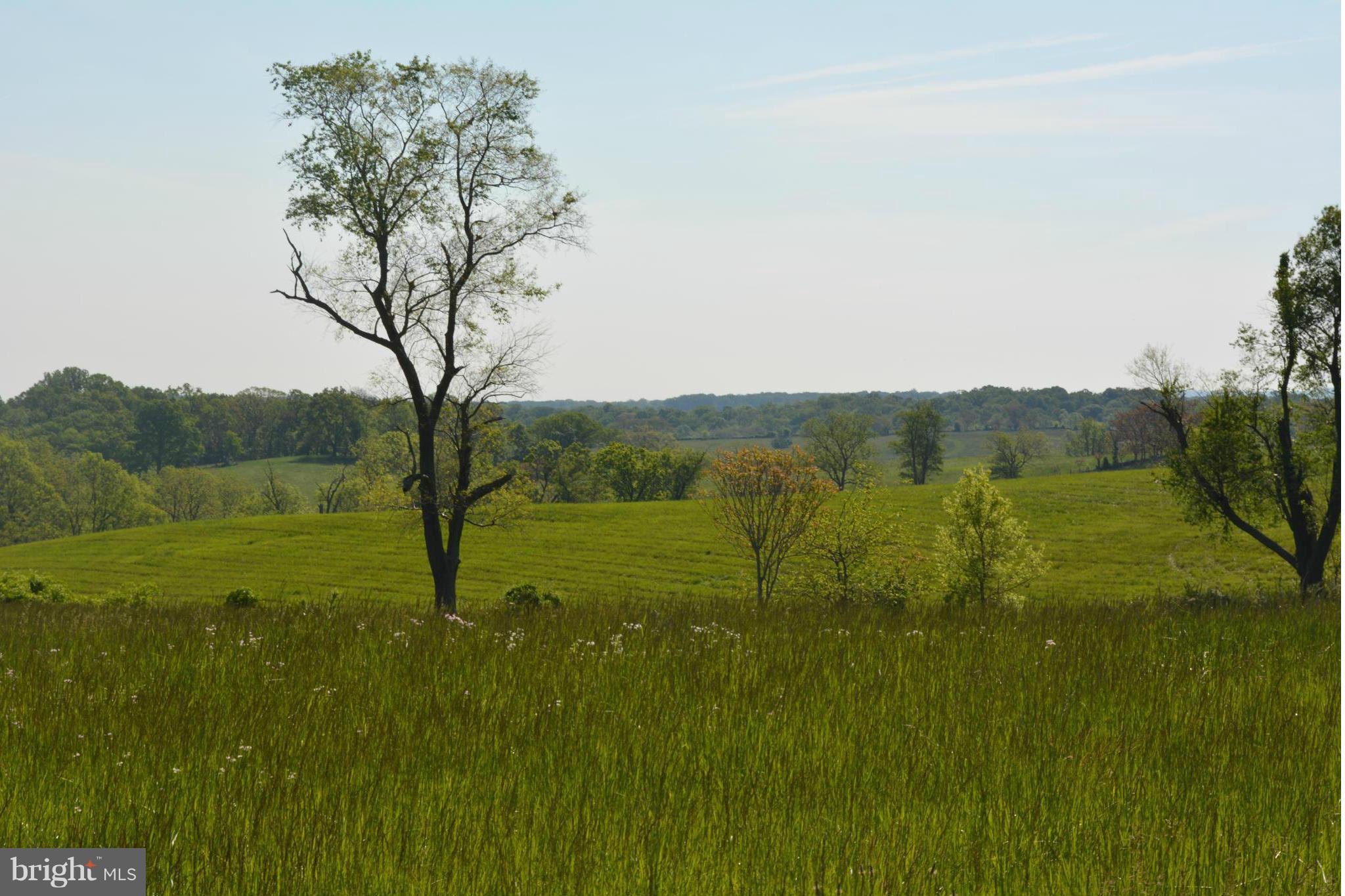 Rokeby Road Upperville, VA 20184 - Photo 8 of 14 View to the North