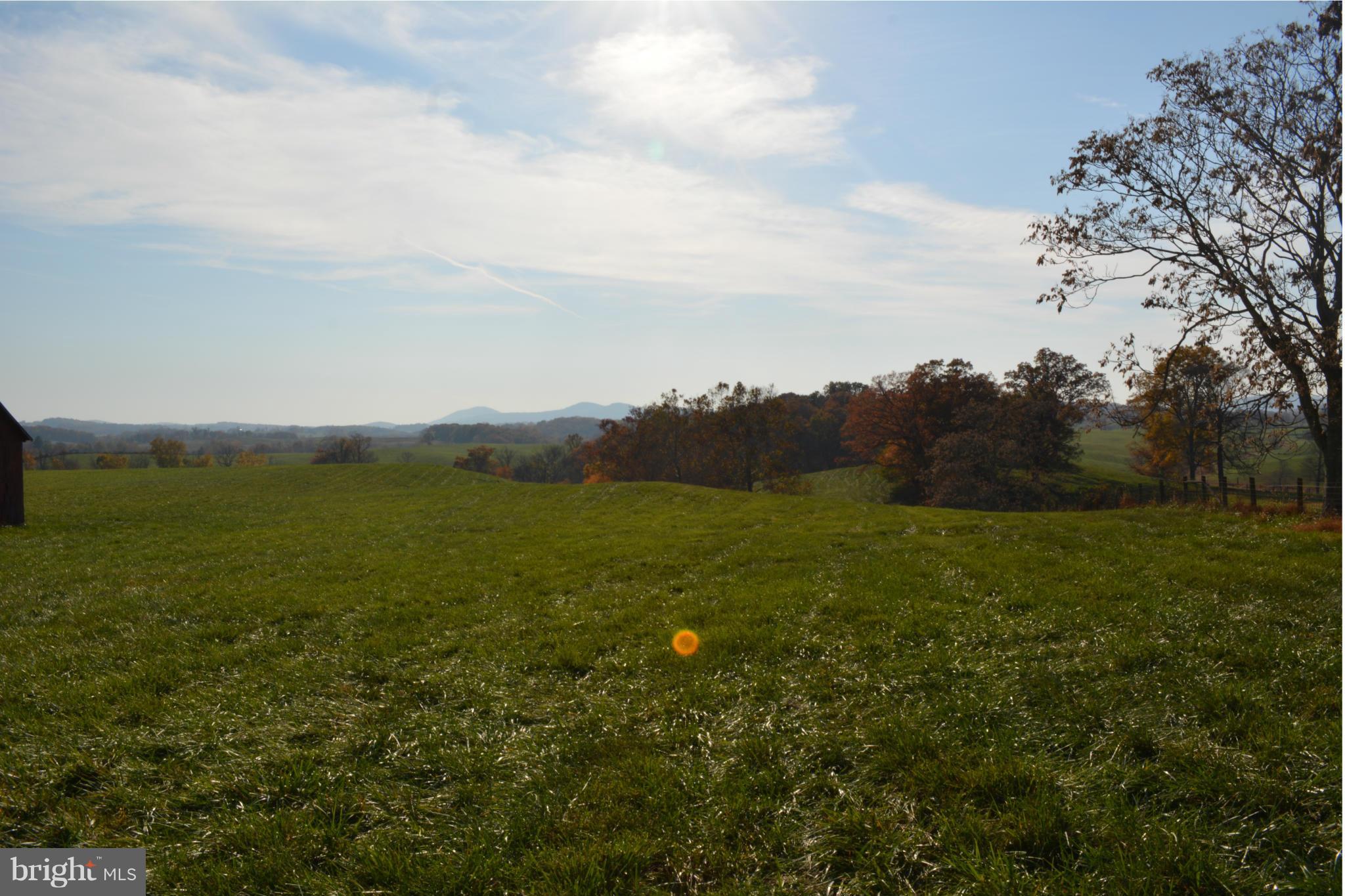 Rokeby Road Upperville, VA 20184 - Photo 9 of 14 View