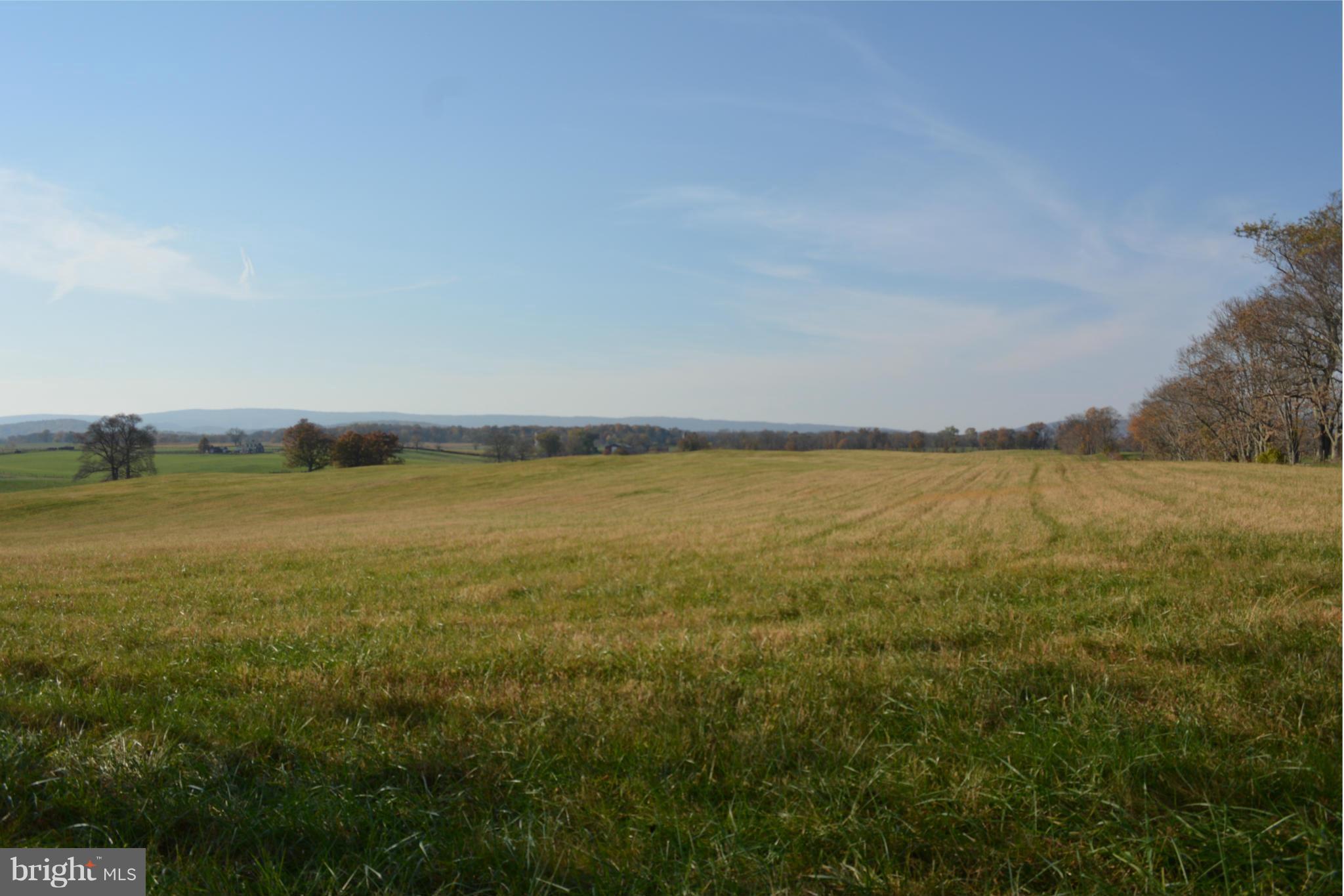 Rokeby Road Upperville, VA 20184 - Photo 10 of 14 View to the West