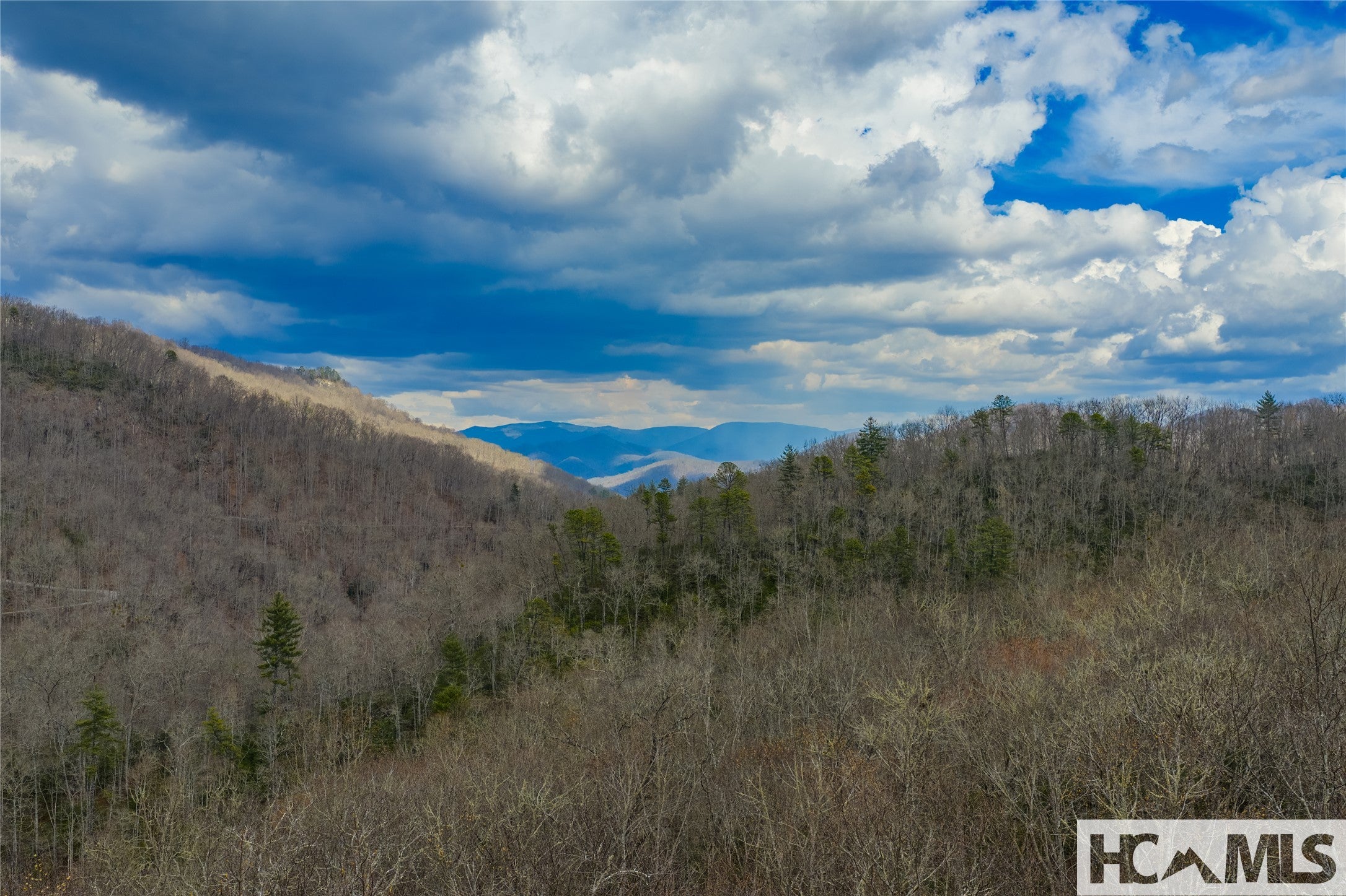 Lot 55 Cullowhee Forest Road Cullowhee, NC 28723 - Photo 8 of 32 Gallery Image 8