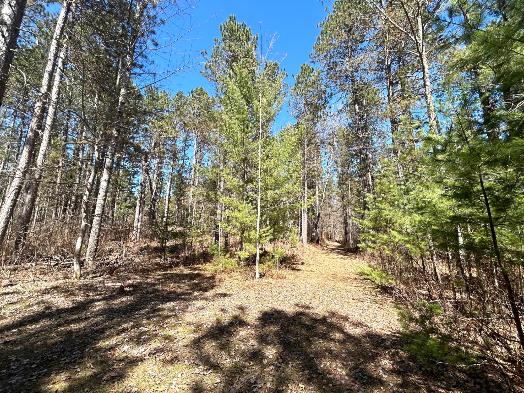 80-ac Off Razorback Road Conover, WI 54519 - Photo 13 of 19