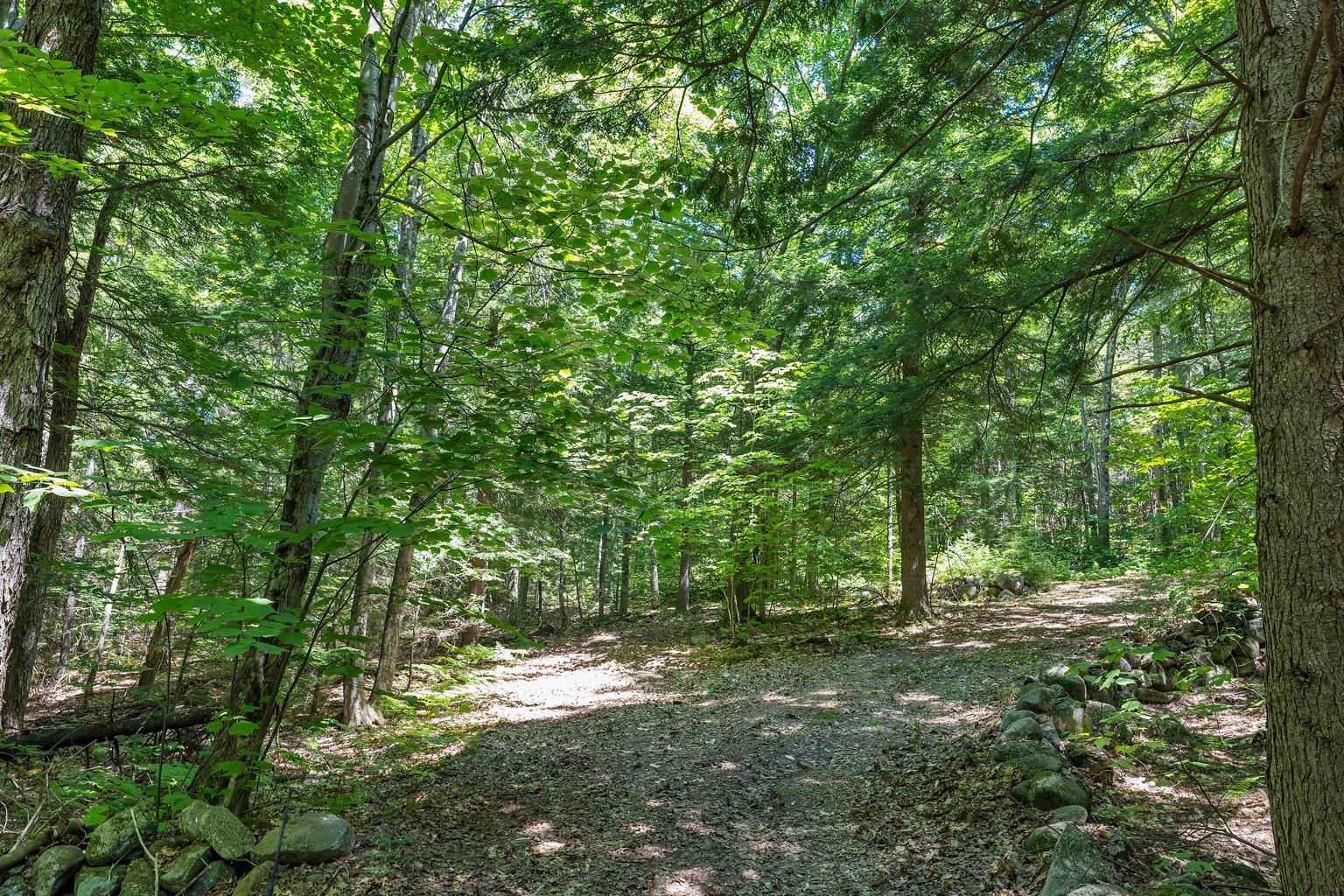 13 Beach Pond Road Wolfeboro, NH 03894 - Photo 12 of 16
