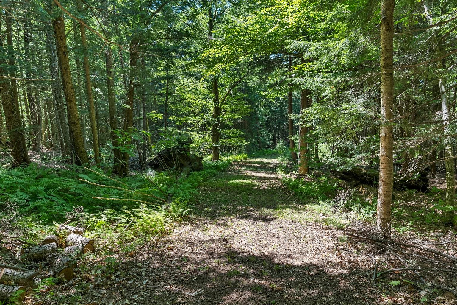 13 Beach Pond Road Wolfeboro, NH 03894 - Photo 14 of 16