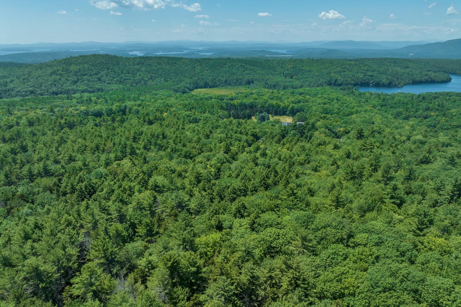 13 Beach Pond Road Wolfeboro, NH 03894 - Photo 7 of 16