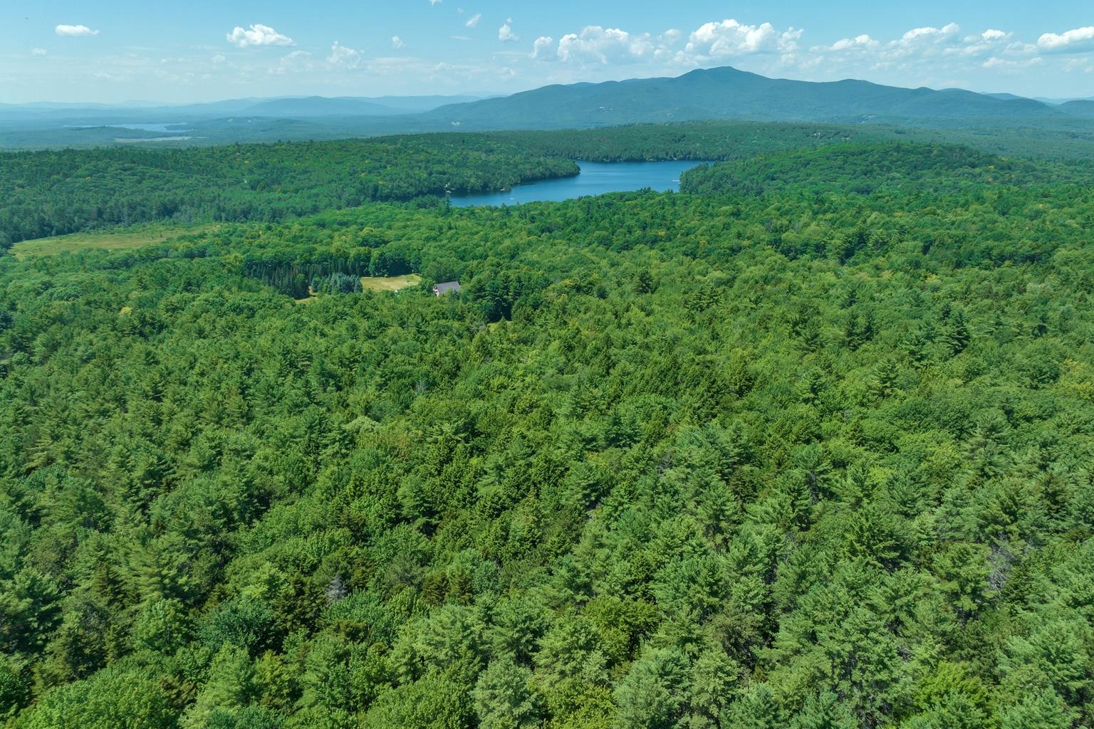 13 Beach Pond Road Wolfeboro, NH 03894 - Photo 8 of 16