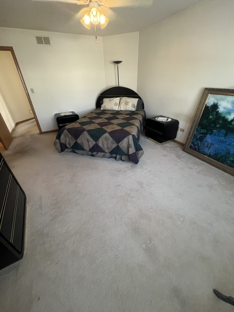 17237 Arrowhead Drive Lockport, IL 60441 - Photo 11 of 22