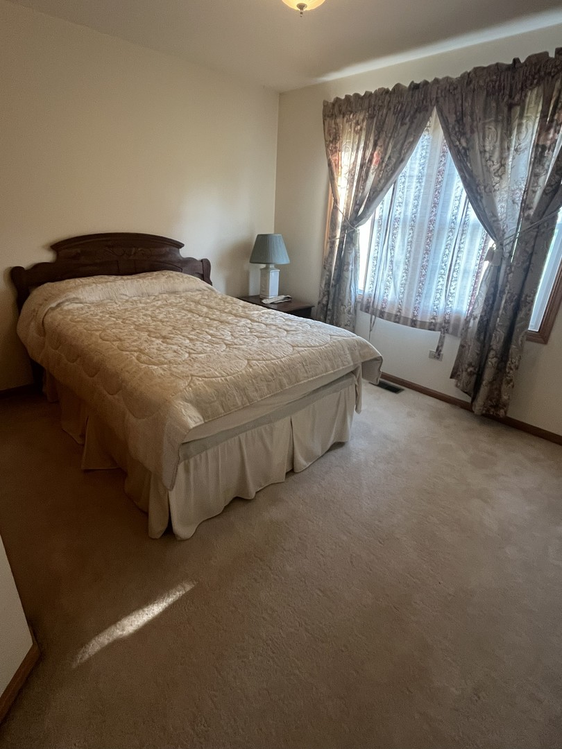 17237 Arrowhead Drive Lockport, IL 60441 - Photo 9 of 22