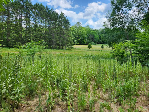 $49,000 | 6389 Woods Trail, Unit 143, Custer, MI 49405