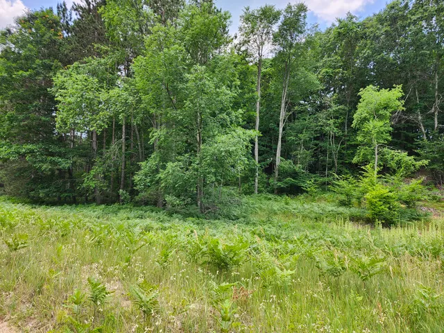 $49,000 | 6389 Woods Trail, Unit 143, Custer, MI 49405