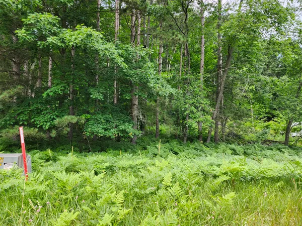 $49,000 | 6389 Woods Trail, Unit 143, Custer, MI 49405