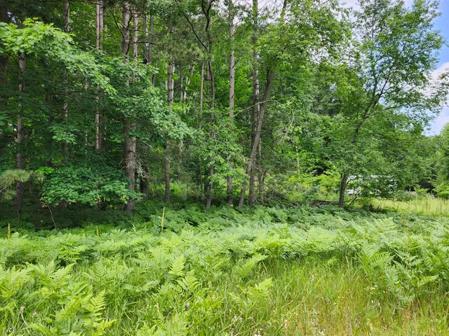 $49,000 | 6389 Woods Trail, Unit 143, Custer, MI 49405