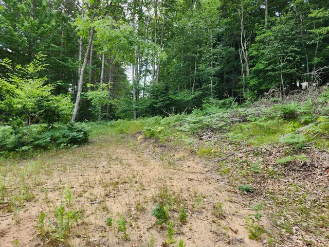 $49,000 | 6389 Woods Trail, Unit 143, Custer, MI 49405