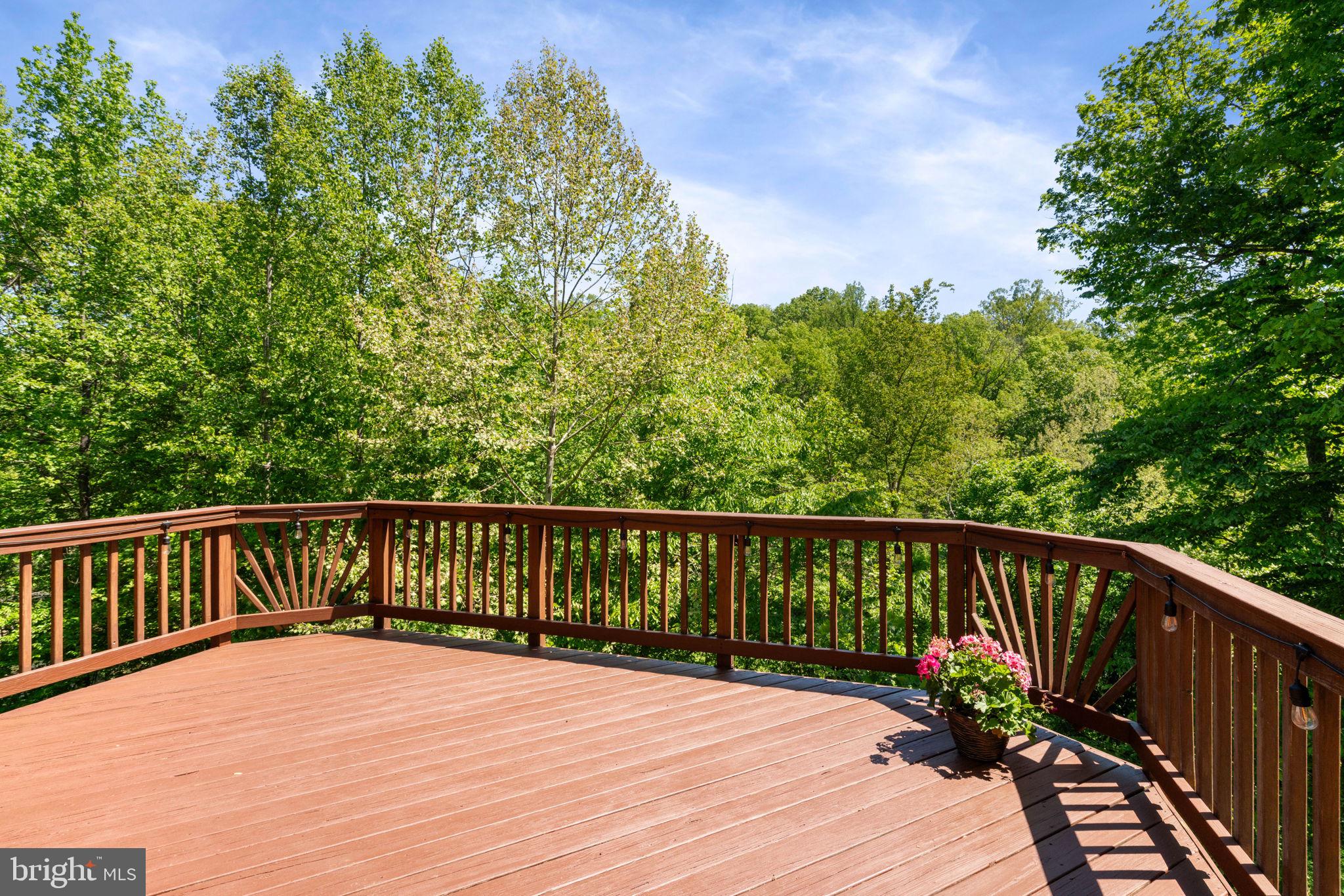 8000 Pohick Road Springfield, VA 22153 - Photo 66 of 85 Deck off Family Room