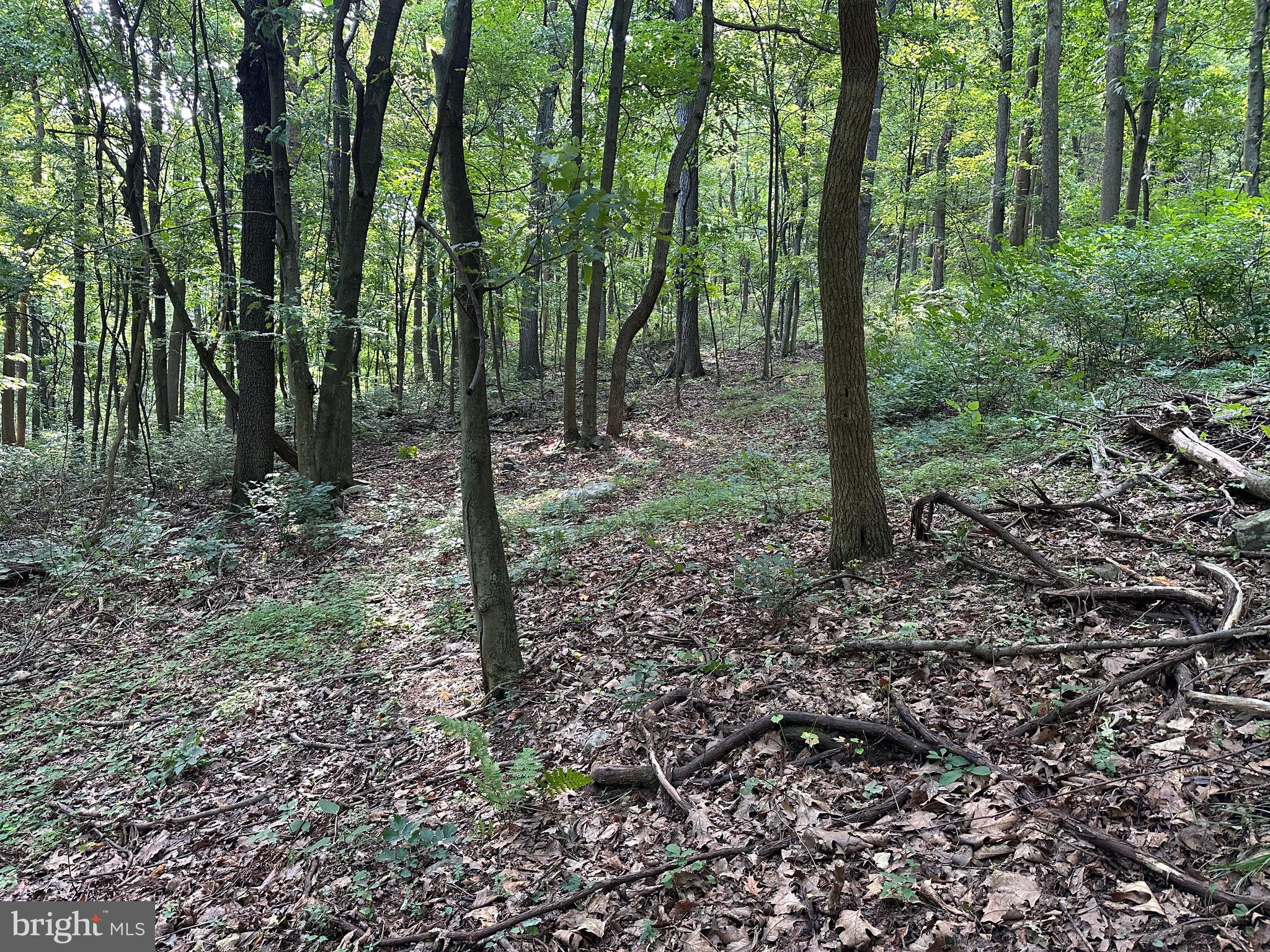 0 Hanging Rock Road Clear Spring, MD 21722 - Photo 17 of 30 Gallery Image 17