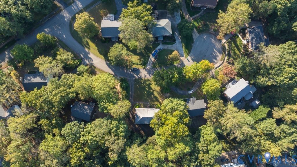 12805 Gloria Court Chester, VA 23831 - Photo 36 of 39 a plant with lots of flowers
