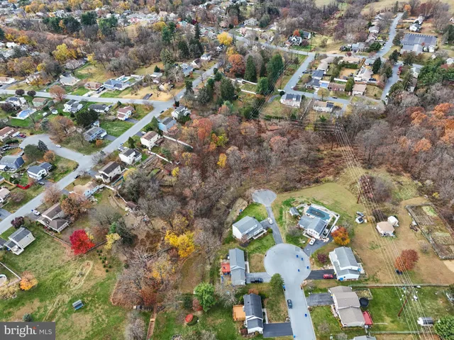 a view of a backyard with large trees