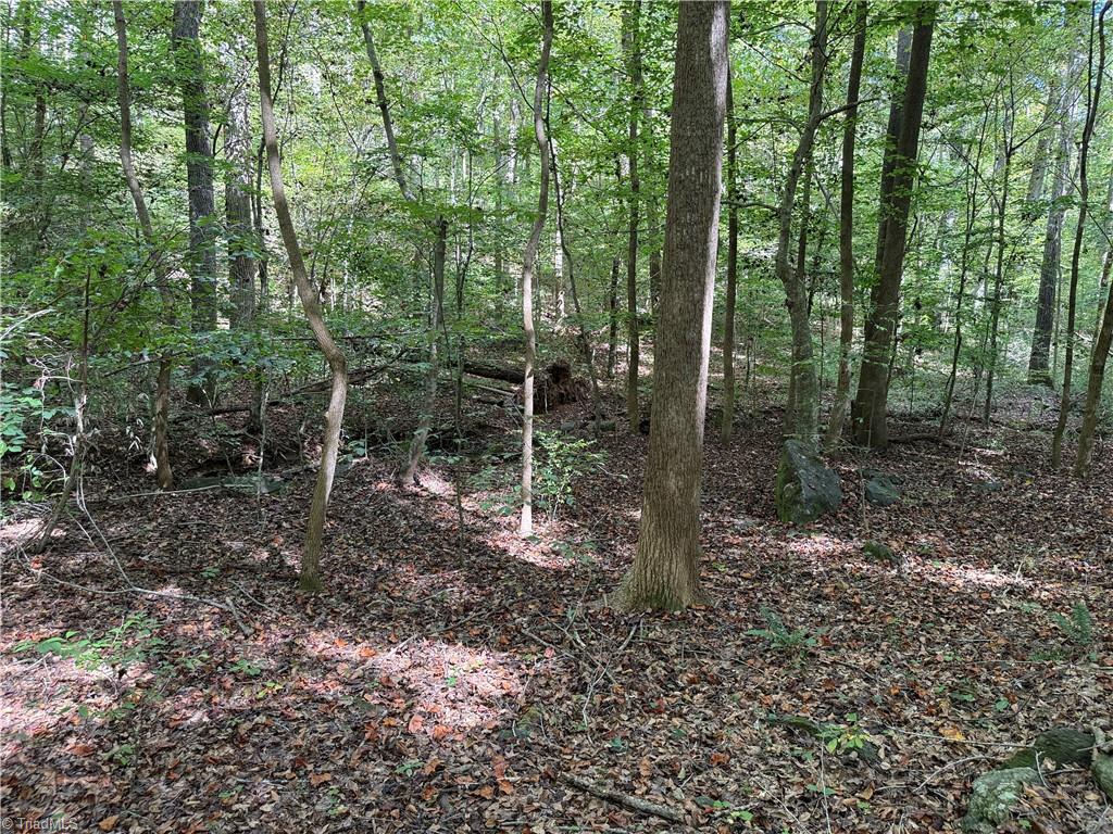 301 Zeb Ferguson Road Siler City, NC 27344 - Photo 26 of 31