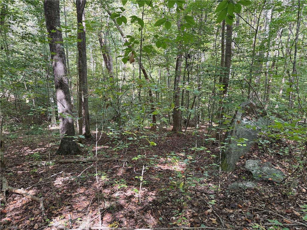 301 Zeb Ferguson Road Siler City, NC 27344 - Photo 29 of 31