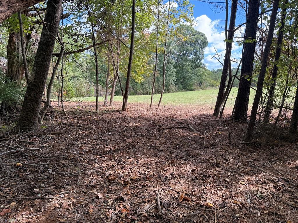 301 Zeb Ferguson Road Siler City, NC 27344 - Photo 31 of 31