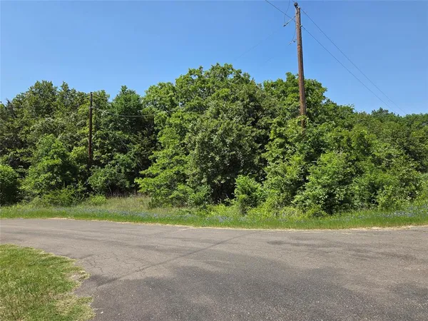 a view of a yard with a tree