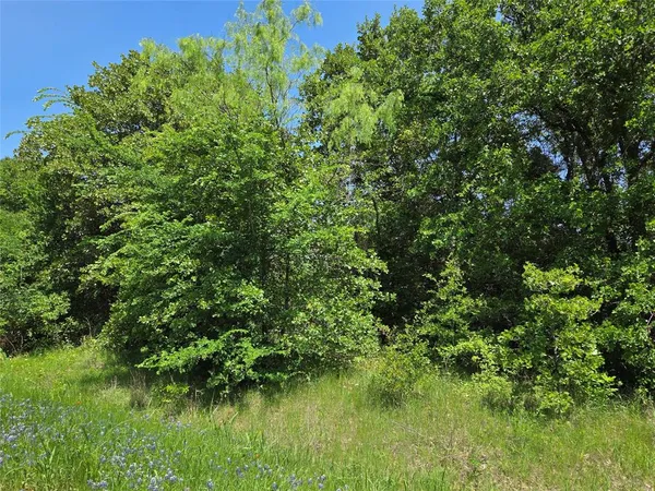 a view of a garden