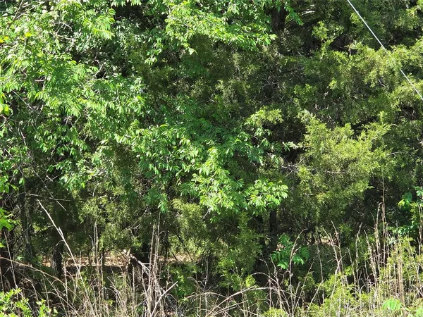 a view of a road with a yard