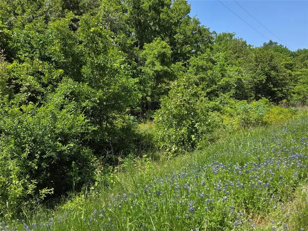 a backyard of a house with a yard and outdoor space