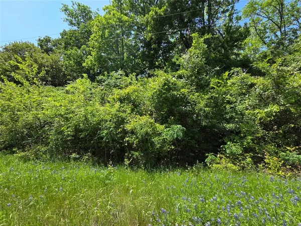 a view of a large yard with lots of green space