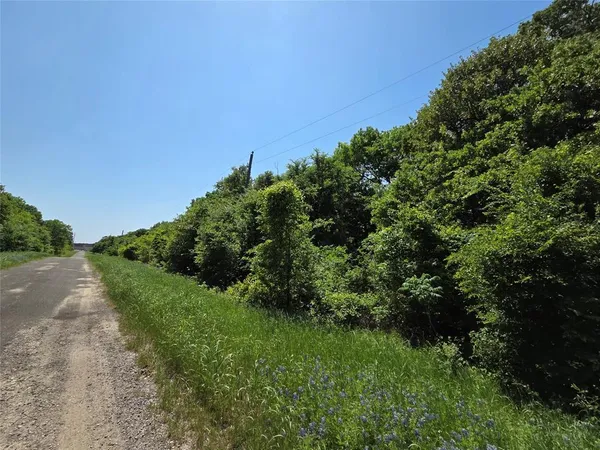 a view of a road with a yard