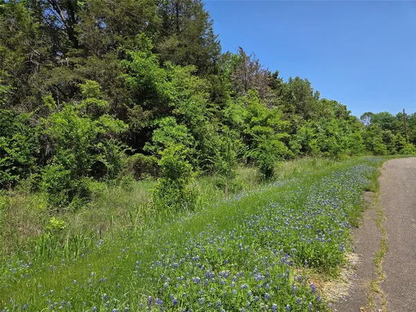 a view of a lush green field