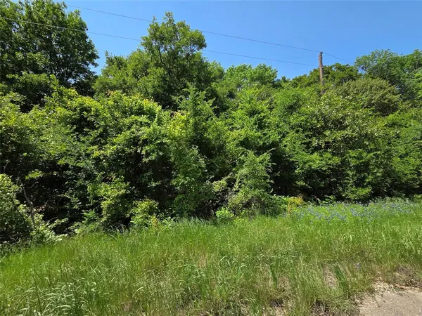 a view of a field of grass and trees