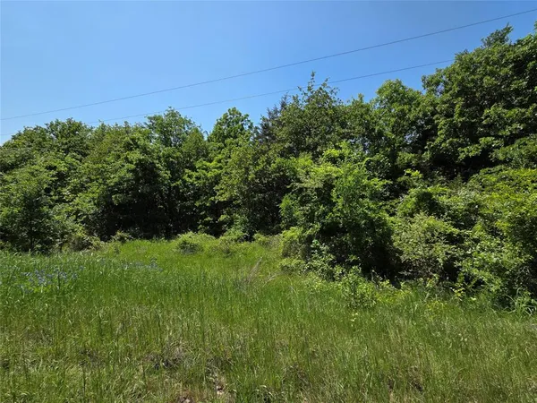 a big yard with lots of green space and plants