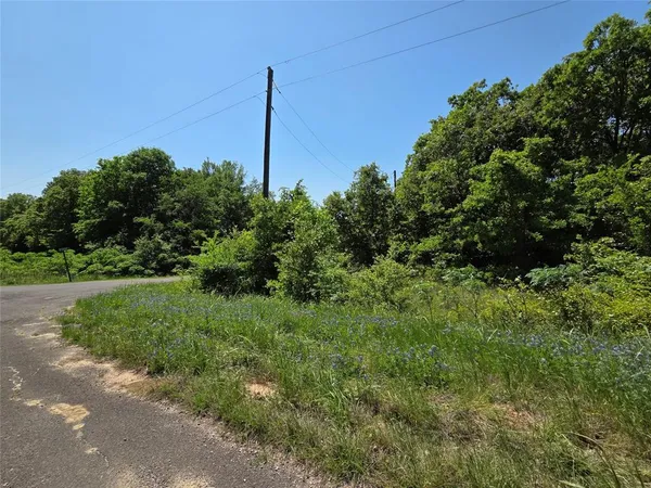 a view of a green field with lots of bushes