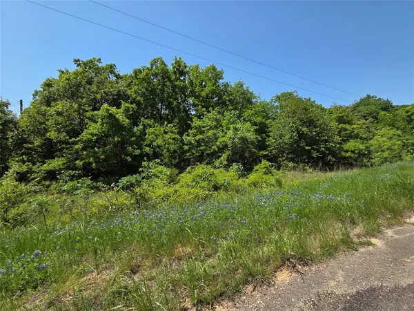 a view of a yard with a tree