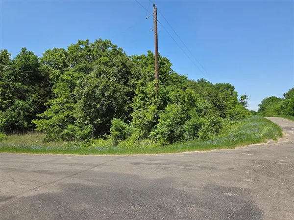a backyard of a house with a yard and potted plants