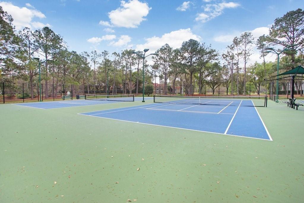 17804 Ridgeway Court Tampa, FL 33647 - Photo 54 of 59 Gallery Image 54