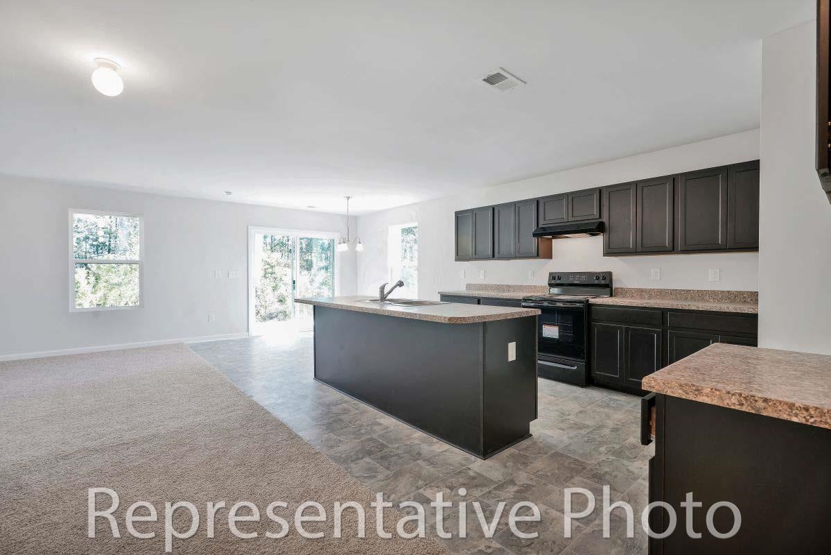 1190 Cherrystone Loop Conway, SC 29526 - Photo 5 of 40 Gallery Image 5